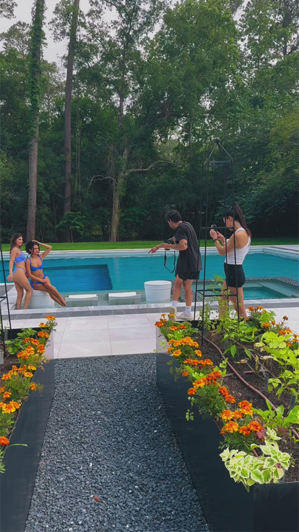 Behind the Scenes (BTS)